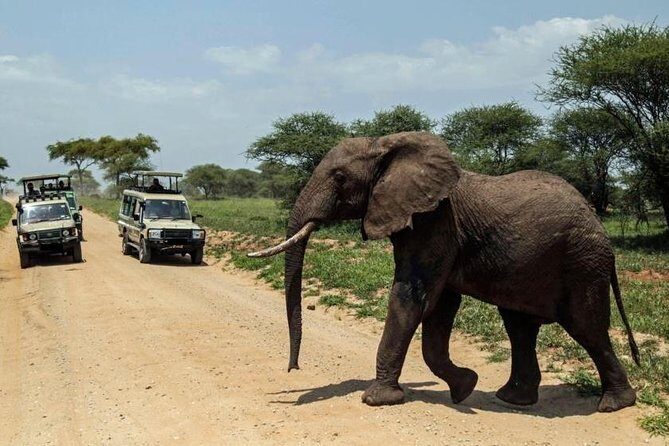 4-Day Tanzania Camping Safari to Lake Manyara, Serengeti, and Ngorongoro Crater - FAQ