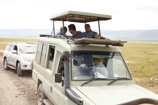 4-Day Tanzania Private Luxury Drive In-Drive Out Safari 2025-2026 - Key Points