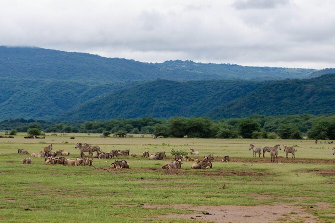 4-day Tanzania Safari - What’s Included – and What’s Not