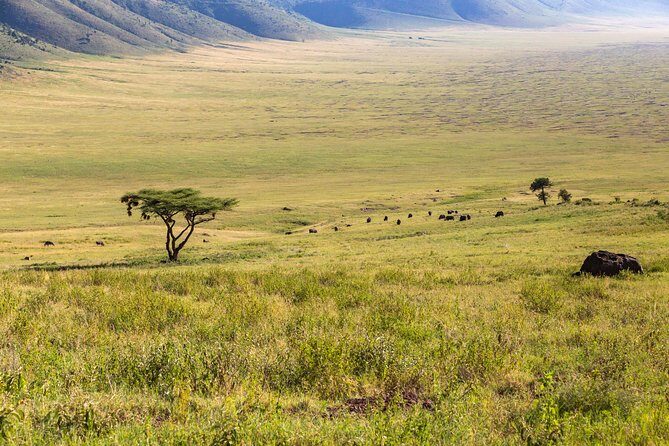 4-day Tanzania Safari - The Sum Up
