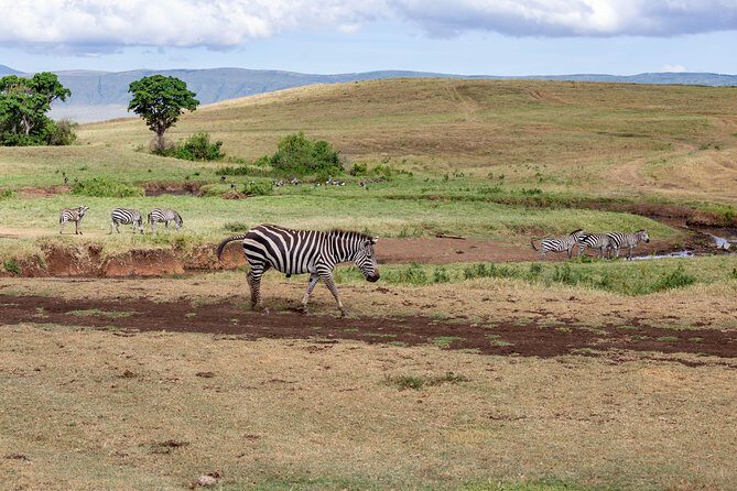 4-day Tanzania Safari - FAQ