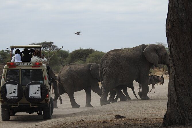 4-Day Tarangire, Serengeti, Ngorongoro Crater - Key Points