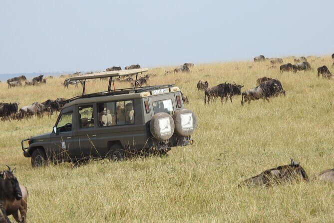 4-Day Tarangire, Serengeti, Ngorongoro Crater - The Experience from a Traveler’s Perspective