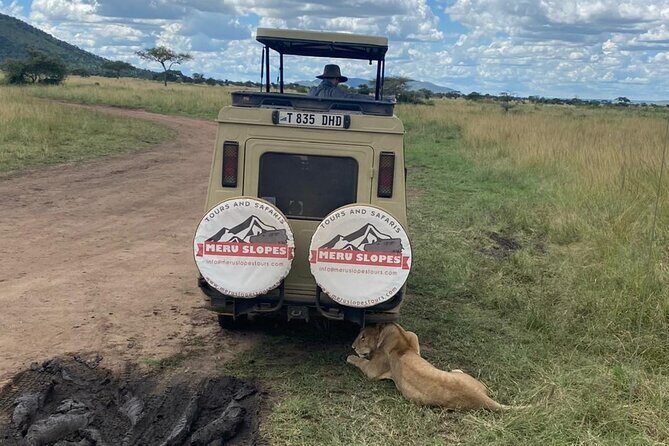 4-Day Tarangire Serengeti, Ngorongoro & Maasai Guided group tour - The Experience in Detail: What to Expect from Each Day