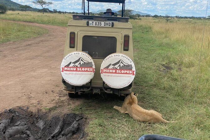 4-Day Tarangire Serengeti, Ngorongoro & Maasai Guided group tour - FAQs
