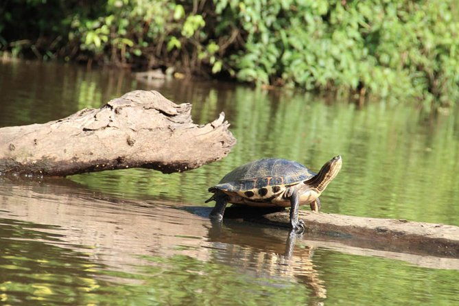 4-day-tortuguero-pacuare-overnight