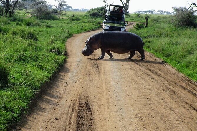 4-Day Tour in Lake Nakuru, Lake Naivash, Masai Mara from Nairobi - Key Points: