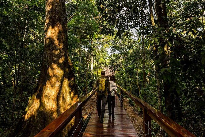 4-day-tour-in-tambopata-national-reserve