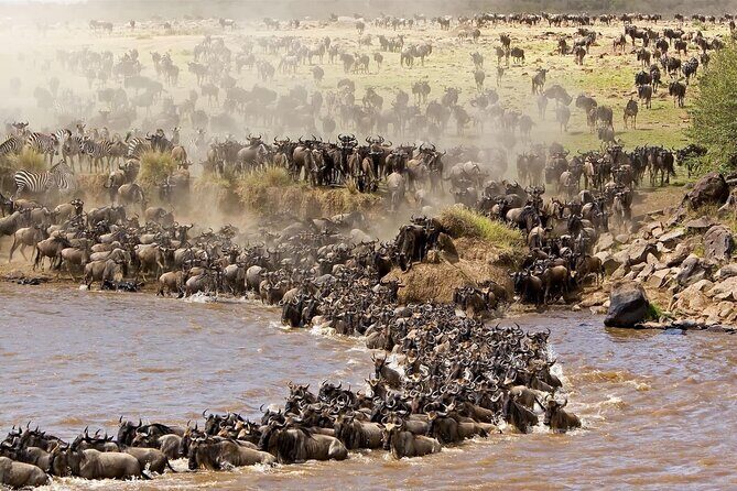 4 Day Tour in Tarangire and Serengeti and Ngorongoro Crater - Key Points