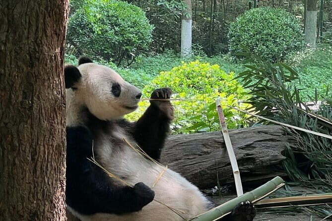 4-day tour of Jiuzhaigou Valley Scenic and Historic Interest Area - Day 3: Huanglong Scenic Valley – Nature’s Kaleidoscope