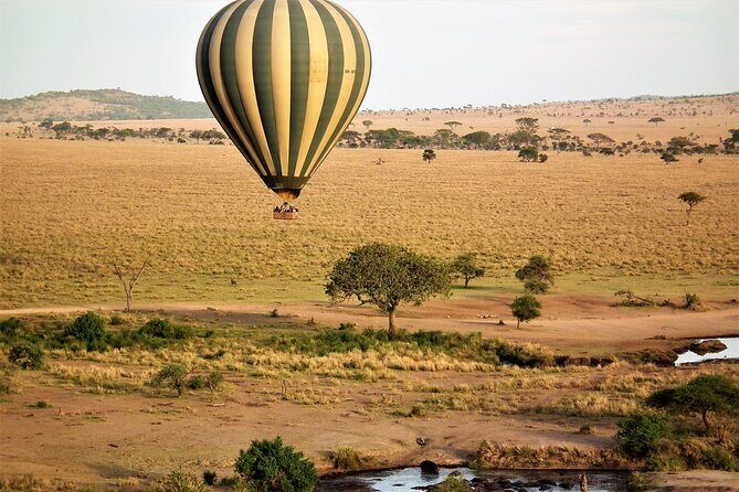 4-Day Tour to Tarangire, Serengeti and Ngorongoro - What Truly Sets This Tour Apart