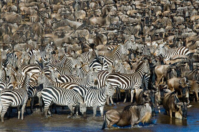 4-Day Tour to Tarangire, Serengeti and Ngorongoro - Final Verdict