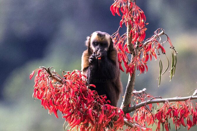 4-day-tour-to-the-manu-national-park