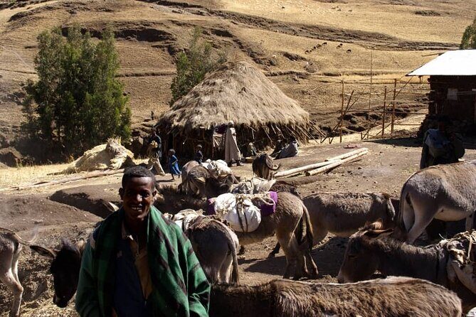4 Day Trekking Simien Mountains - Day Two: The Heart of the Mountains