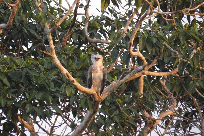 4-day-trip-cuyabeno-amazon-experience