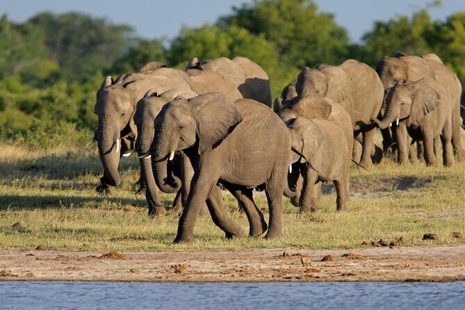 4-Day Victoria Falls and Hwange National Park Tour - Key Points