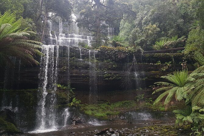 4 Day Wild Tasmania Tour / Wildlife, Nature, Hiking / Inc. Accom - Who Is This Tour Best Suited For?