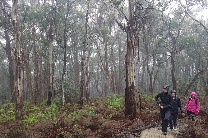 4 Day Wild Tasmania Tour / Wildlife, Nature, Hiking / Inc. Accom - Final Thoughts