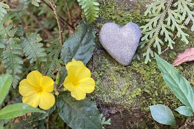 4 Day Yoga Hiking and Sound Healing Retreat in Nepal - An In-Depth Review of the 4-Day Nepal Yoga & Hiking Retreat