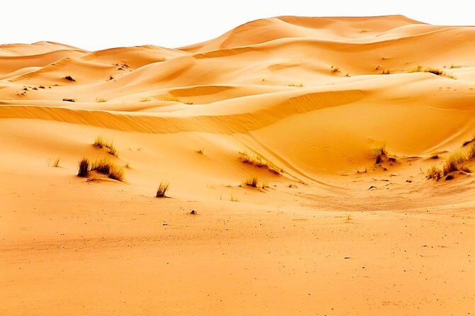 4 Days/ 3 N Marrakech To Fes Desert Tour - Day Two: From Dades to Merzouga