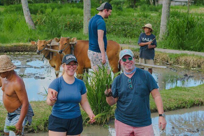 4 Days 3 Nights Explore Bali with Package Tours - What Makes This Tour Stand Out?