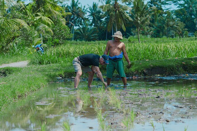 4 Days 3 Nights Explore Bali with Package Tours - Who Is This Tour Best For?