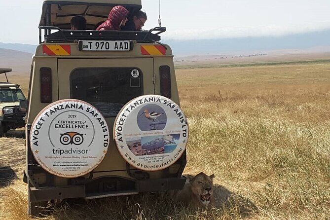 4 Days, 3 Nights Group budget Safari, Lake Manyara, Serengeti, Ngorongoro - Authentic Experiences & Visitor Insights