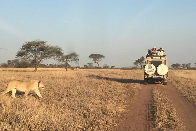 4 Days, 3 Nights Group budget Safari, Lake Manyara, Serengeti, Ngorongoro - Final Thoughts: Is This Safari for You?
