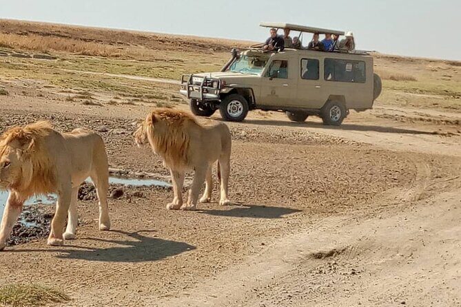 4 Days, 3 Nights Group budget Safari, Lake Manyara, Serengeti, Ngorongoro - FAQ