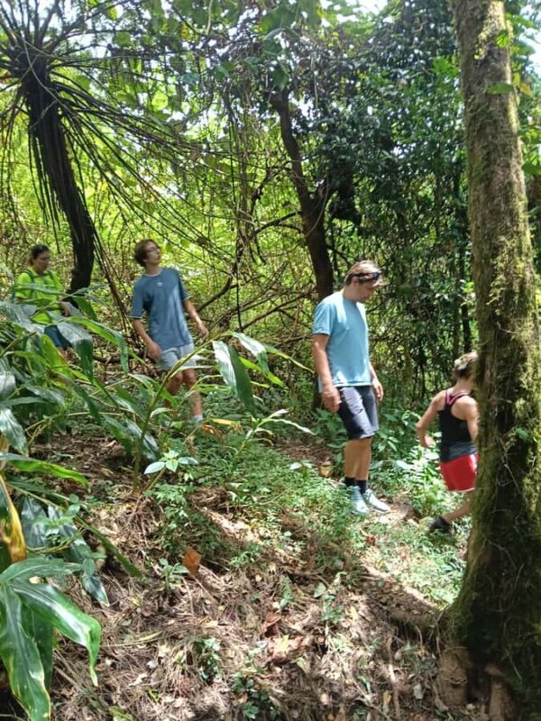 4 Days / 3 Nights Jungle & Waterfall Trek in North Bali - Final Thoughts: Is This Tour For You?