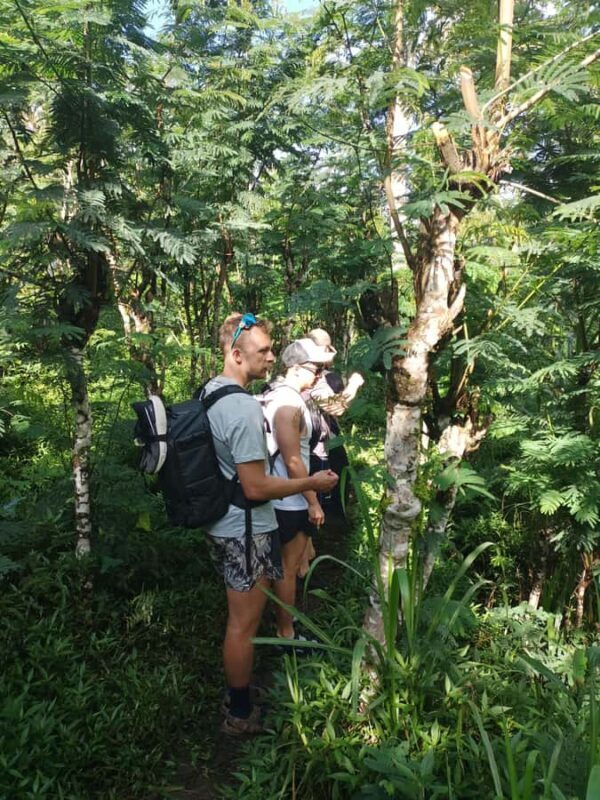 4 Days / 3 Nights Jungle & Waterfall Trek in North Bali - FAQ