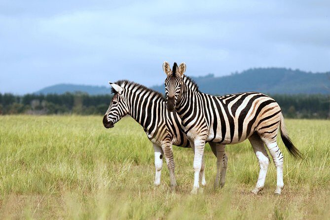 4 Days / 3 Nights Lake Manyara, Ngorongoro and Serengeti - Into the Heart of Africa: Serengeti National Park