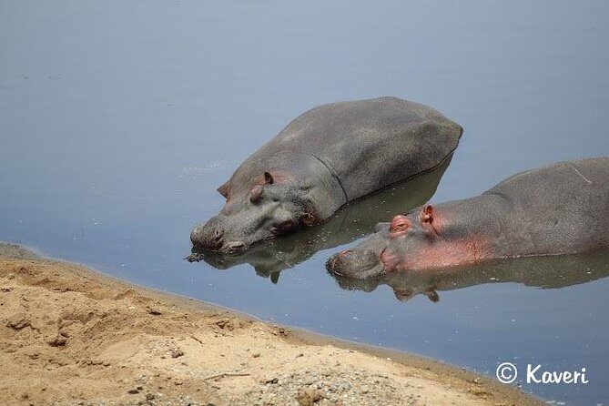 4 Days / 3 Nights Lake Manyara, Ngorongoro and Serengeti - The Final Day: A Wrap-up in the Kilimanjaro Region