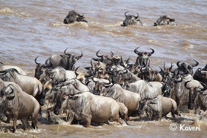 4 Days / 3 Nights Lake Manyara, Ngorongoro and Serengeti - What’s Included and What’s Not
