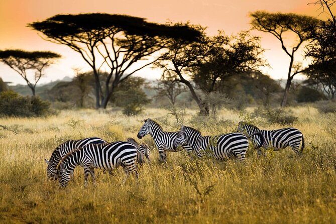 4 Days / 3 Nights Lake Manyara, Ngorongoro and Serengeti - Final Thoughts: Who Is This Tour Best For?