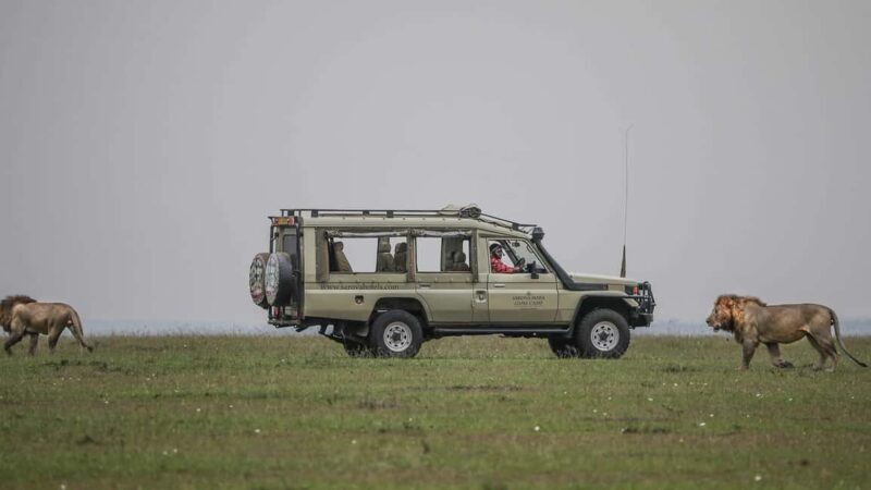 4 Days 3 Nights Masai Mara and Lake Nakuru Adventure safari - Accommodation and Comfort Level