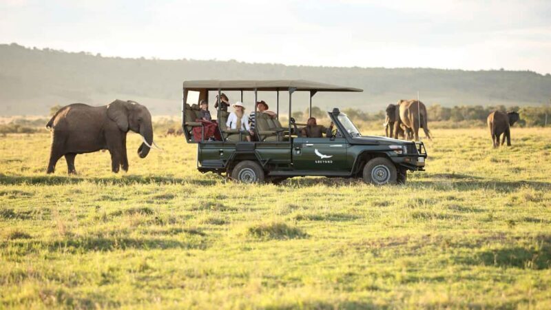 4 Days 3 Nights Masai Mara and Lake Nakuru Adventure safari - Transportation and Guide Service