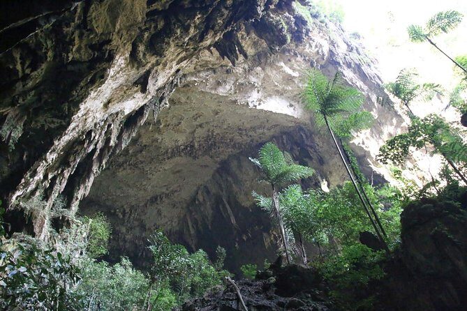 4 Days 3 Nights Mulu 4 Showcaves with Pinnacles - The Practical Side: What You Need to Know