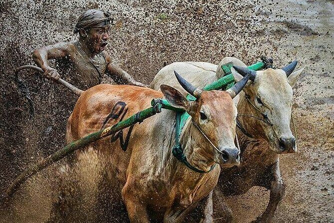 4 Days 3 Nights Private Tour in West Sumatra - In-Depth Review of the 4-Day West Sumatra Tour