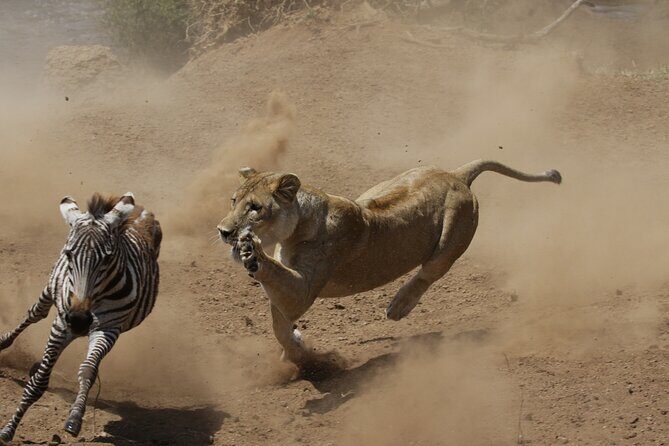 4 days 3 nights Safari- Tarangire, Serengeti and Ngorongoro Crater - Final Thoughts