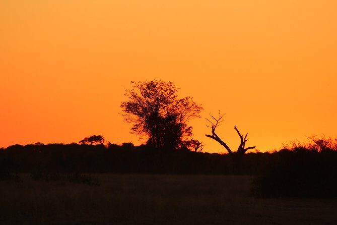 4 Days 3 Nights Savuti Mobile Camping Safari - Transportation and Group Size