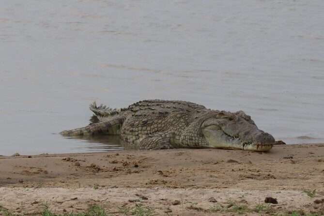 4 Days 3 Nights Selous (Nyerere national park) & Mikumi Adventure - Key Points