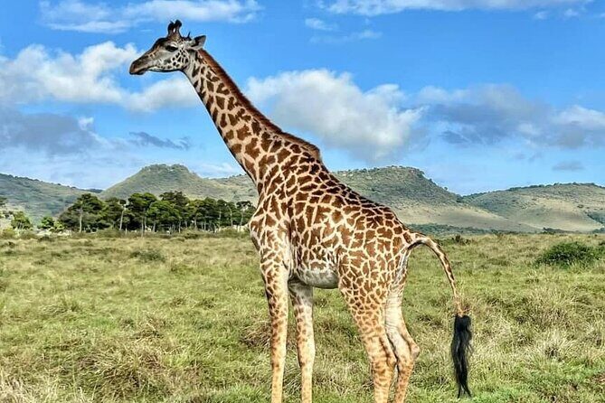 4 Days 3 Nights Selous (Nyerere national park) & Mikumi Adventure - Authentic Experiences and Highlights