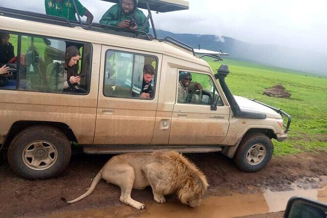 4 Days /3 nights Tarangire, Serengeti and Ngorongoro crater - In-Depth Look at the Tour Itinerary