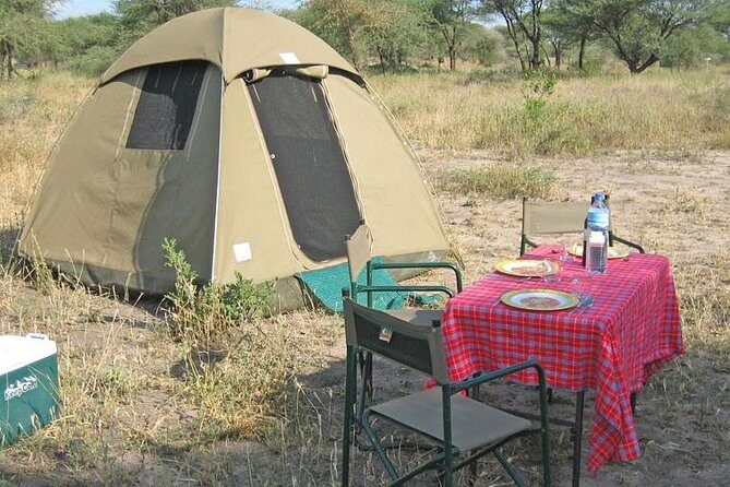 4 Days 3 Nights Tarangire Serengeti & Ngorongoro Lodge Safari - The Experience: What Travelers Are Saying