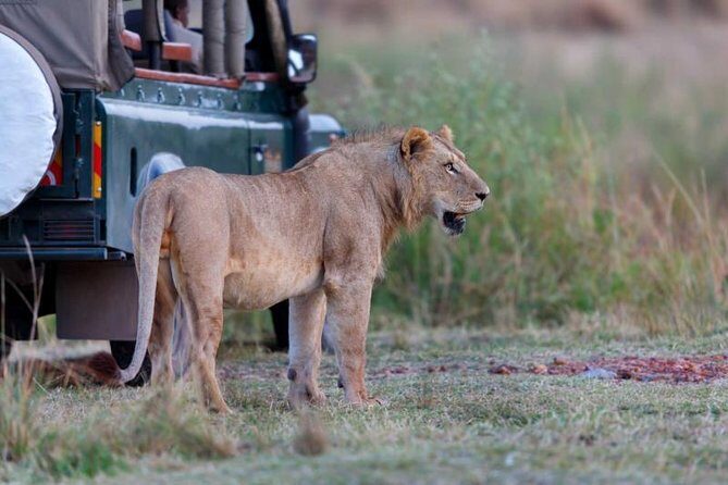 4 Days 3 Nights Tarangire Serengeti & Ngorongoro Lodge Safari - FAQs