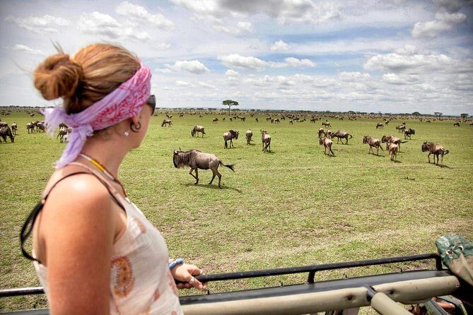 4 Days 3 Nights Tarangire Serengeti & Ngorongoro Lodge Safari - Final Thoughts