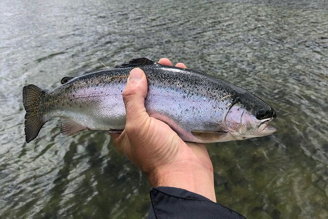 4-days-3-nights-trout-fly-fishing-trip-in-the-andes-of-peru