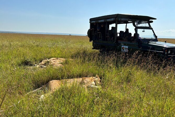 4 Days 4WD Private Maasai Mara, Nakuru Parks with Lodge LUXURY - FAQ