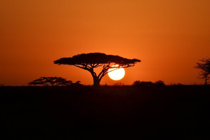 4 days adventure camping safari - The Camping Experience
